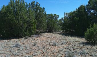Concho Valley lot 3, Concho, AZ 85924