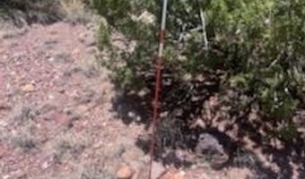 41 Indian Drive CR 8062, Concho, AZ 85924