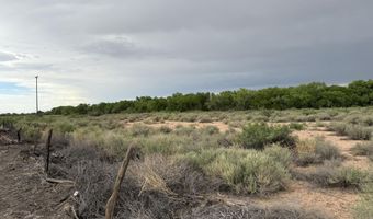 Winery Road, Bosque, NM 87006