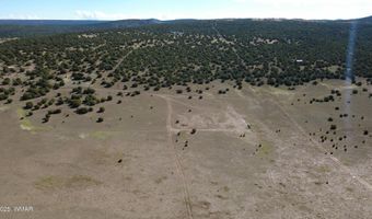 7 N CR 8171, Concho, AZ 85924