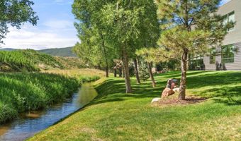 103 Willits Way 201, Basalt, CO 81621