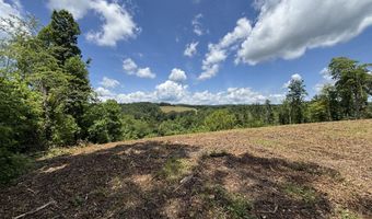 626 Sportsman Ln, Andersonville, TN 37705
