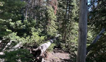 W Hunter Ridge Dr, Brian Head, UT 84719