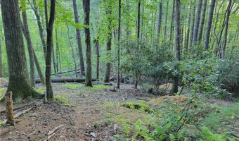 Tract 6 Walnut Ridge, Banner Elk, NC 28604