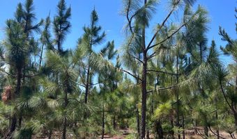 001 West Rd, Bethune, SC 29009