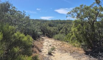 55355 Tule Peak Rd, Anza, CA 92536