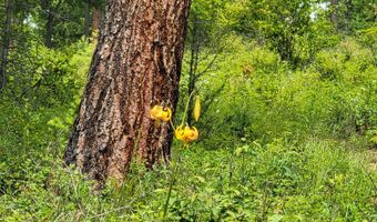 NNA Continental Lane-Tract 1, Bonners Ferry, ID 83805
