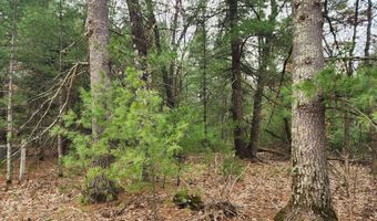Dyke Avenue lot 8, Adams, WI 53910