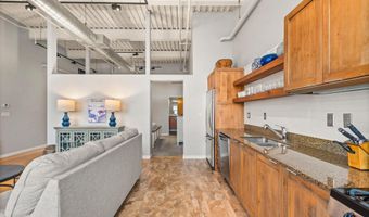231 Robinson St 310, Basalt, CO 81621