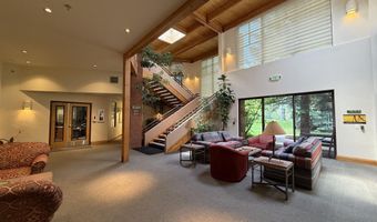 100 Elk Run Dr 220, Basalt, CO 81621