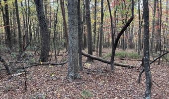 BIG HORN Trail, Augusta, WV 26704