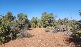 Tbd State Route 260, Clay Springs, AZ 85923