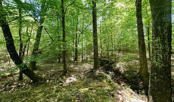 2316 Traci Loop, Bogue Chitto, MS 39629