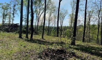 Tract 1 Mill Creek Rd, Andersonville, TN 37705