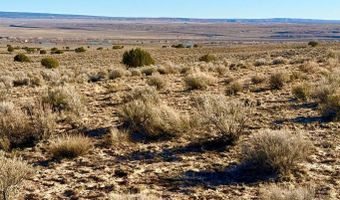 N7009 40 Acres, Chambers, AZ 86502