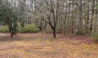2611 OAKS CHAPEL Rd, Ashland, AL 36251