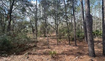 US Hwy 129, Bell, FL 32619