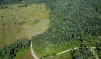 542 Lilla B Gaskins Rd, Alapaha, GA 31622