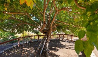 4311 Elma Ln, La Mesa, CA 91942