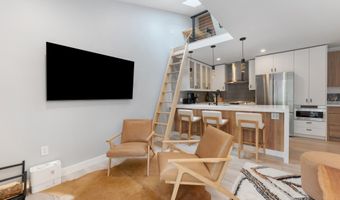 910 W Hallam St 9, Aspen, CO 81611