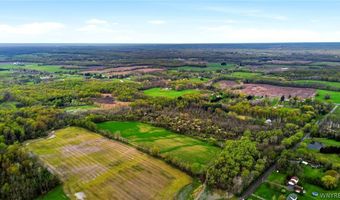 Beaver Road, Alexander, NY 14005