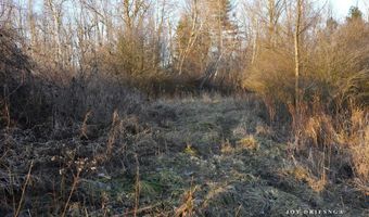 V/L Fawn Path Parcel A, Allegan, MI 49010
