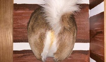 1965 Starlight Ln, Bennington, OK 74723