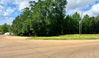 LOT 10 HWY 24, Centreville, MS 39631