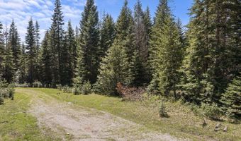 Nna Grizzly Meadows Ct Lt 5, Athol, ID 83801