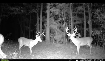 1 Champion Hill Rd, Bolton, MS 39041