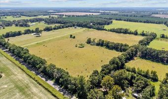 232 344 County Road 344, Bell, FL 32619