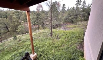 106 Donkey Ct, Alto, NM 88312