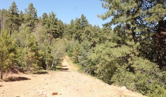 166 Jackalope Dr, Bayfield, CO 81122