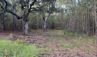Lower Bay Road, Bay St. Louis, MS 39520