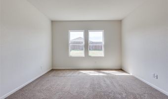 821 Cherry Blossom St, Anna, TX 75409