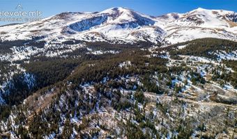 944 Roberts Rd, Alma, CO 80420