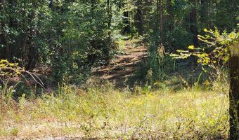 3170 Co Rd 53, Abbeville, AL 36319