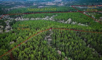 259 Forest Lake Rd, Beaumont, MS 39423