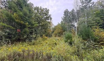 34 Xxx 80ac 298th St, Aitkin, MN 56431