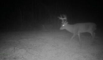 0 Graves Keys Rd, Bassfield, MS 39421