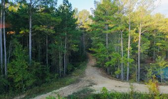 644 Ash-Harrel Loop, Abbeville, GA 31001