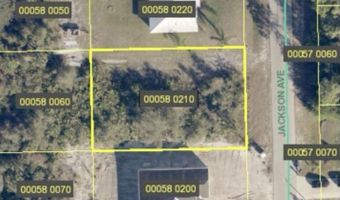 2015 Jackson Ave, Alva, FL 33920
