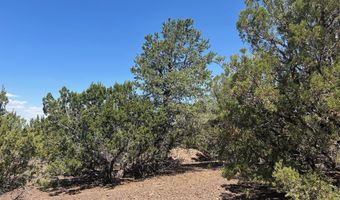 Lot 11 Uphill Trail, Vernon, AZ 85940