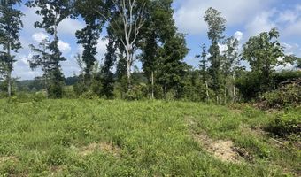 Tract 1 Mill Creek Rd, Andersonville, TN 37705