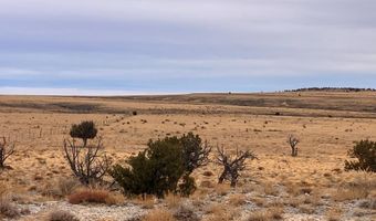 County Road 91.9, Aguilar, CO 81020