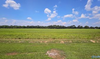 15729 Lapington Rd, Athens, AL 35614