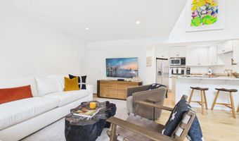 915 E Hopkins Ave 4, Aspen, CO 81611