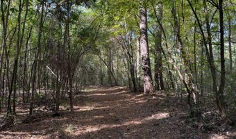 971 Somerset Rd SE, Bogue Chitto, MS 39629