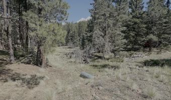Calle de los Indios lot 58, Angel Fire, NM 87710
