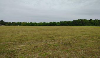 0 1ST Ave, Ashford, AL 36312